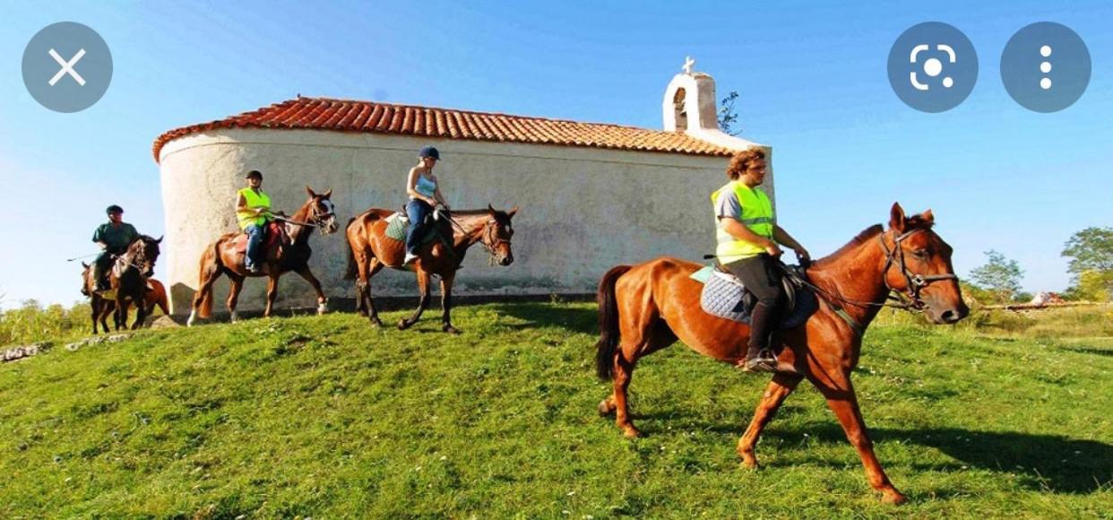 Villa Panta Zadar Dış mekan fotoğraf